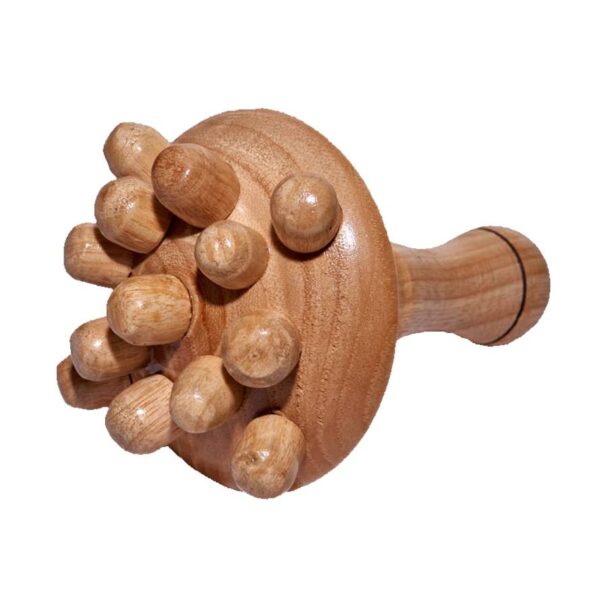 champiñon 13 puntas