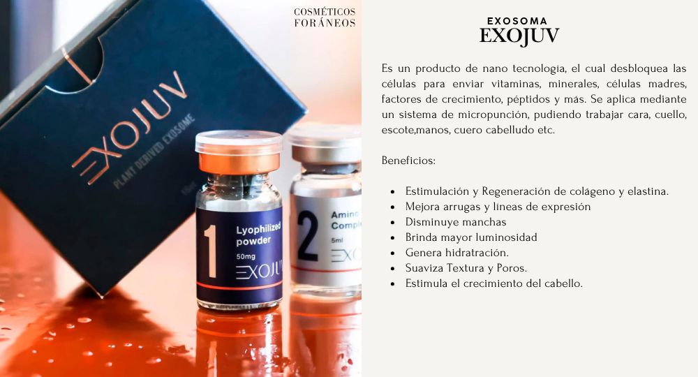 Exosomas
